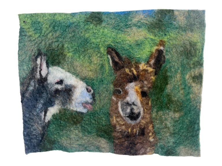 Donkey and Lama - Sigmund Hutter 