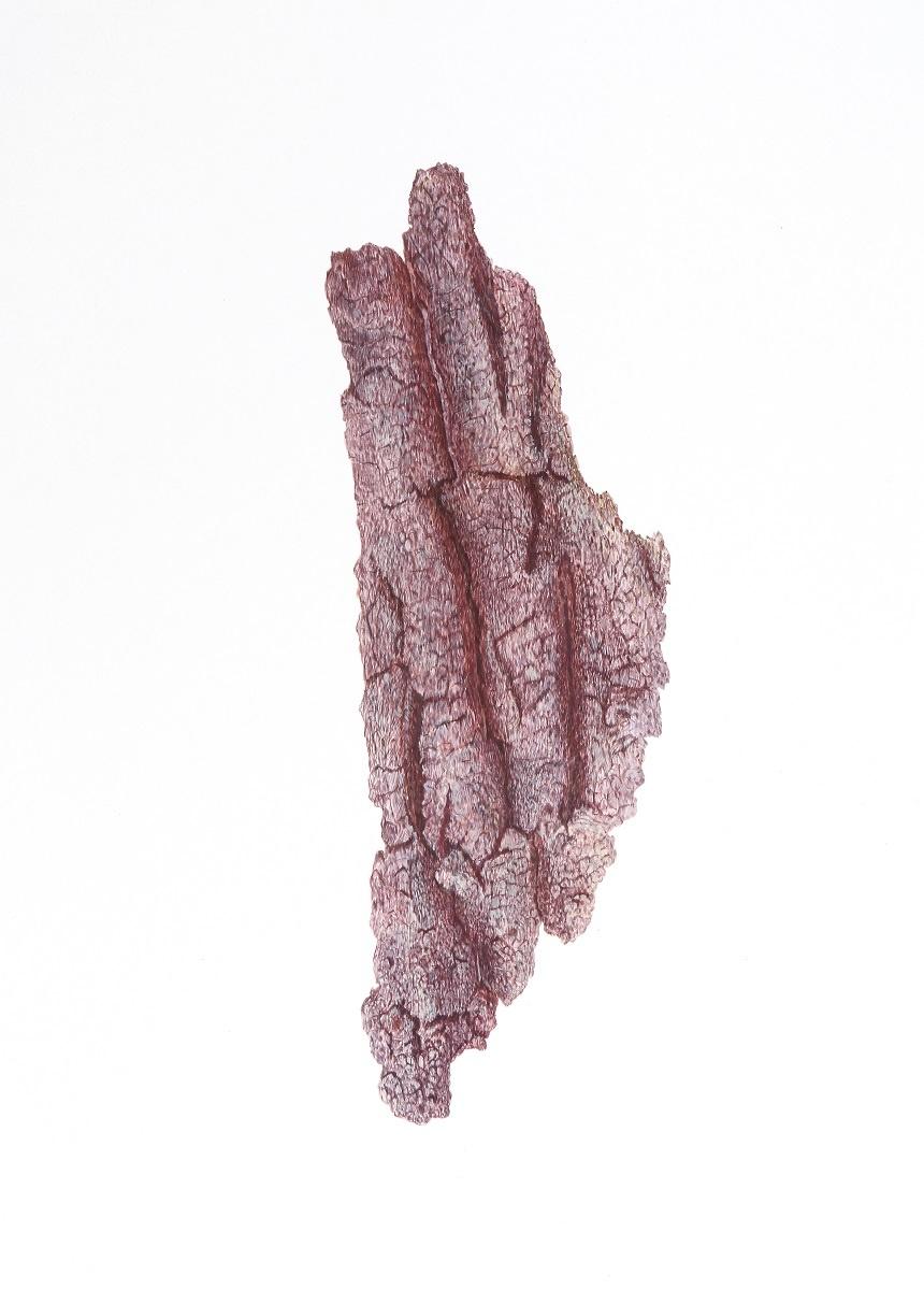 Topographie - Alfredo Barsuglia 