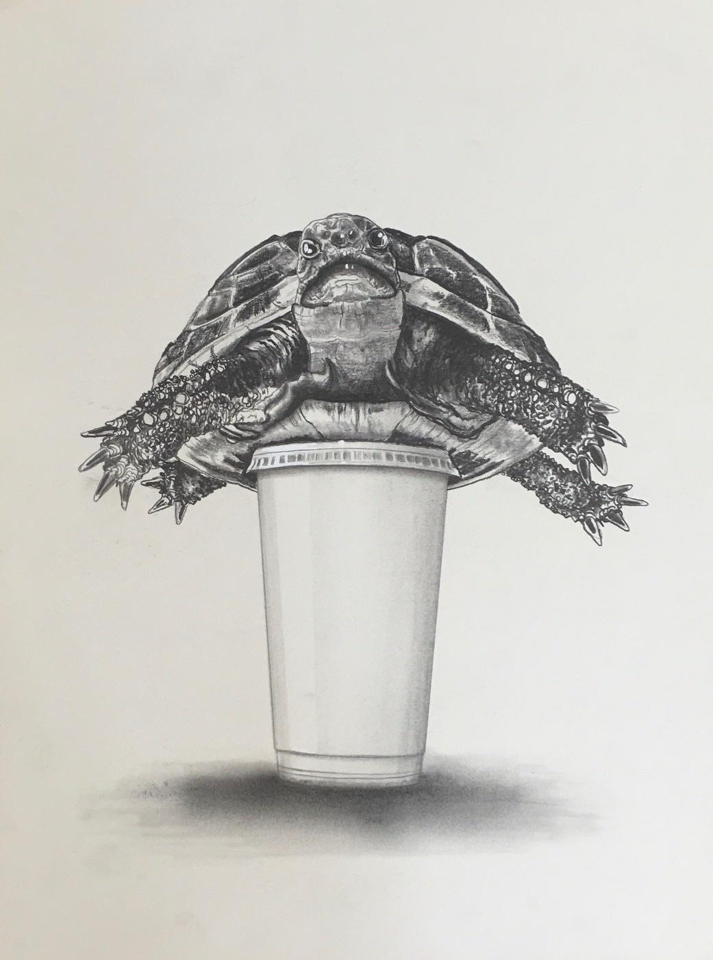 Turtle Pain - Dietmar Franz 