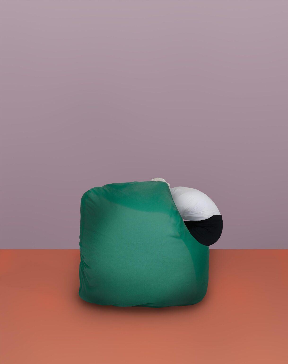 Hide - Nina Rike Springer 
