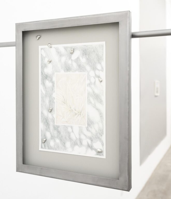 Notes on Traces (Verdord) - Janne Schipper 