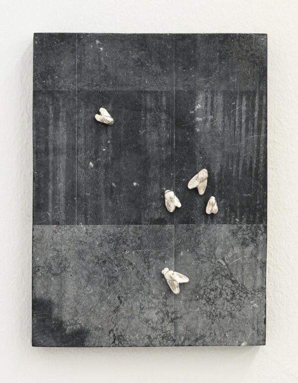 Notes on Traces - Janne Schipper 