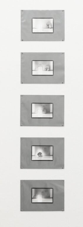 Licht (5-teilig) - Margot Pilz 