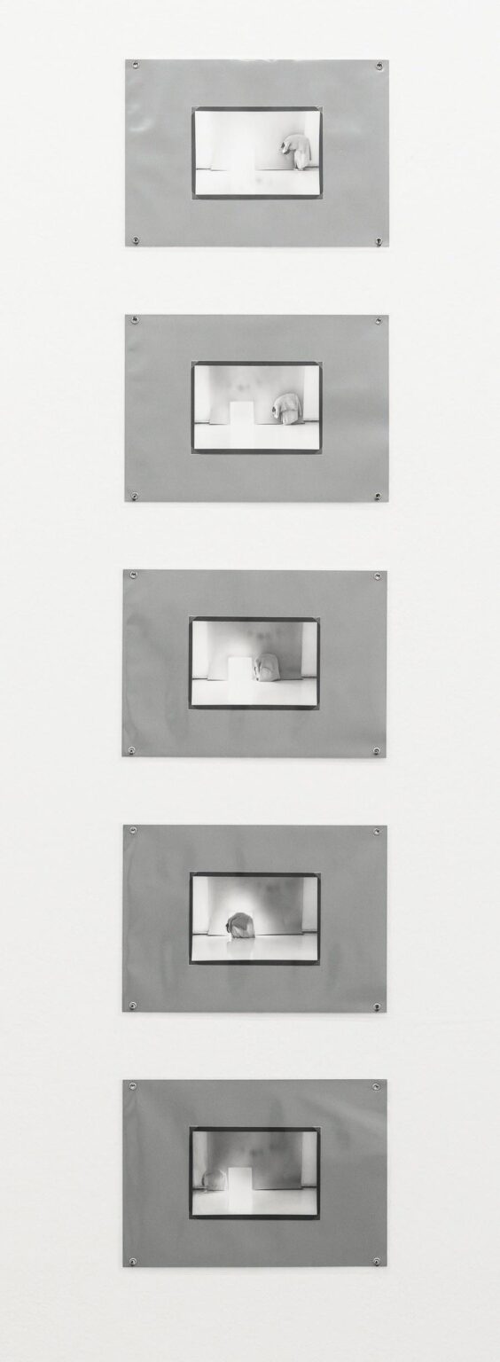 Licht (5-teilig) - Margot Pilz 