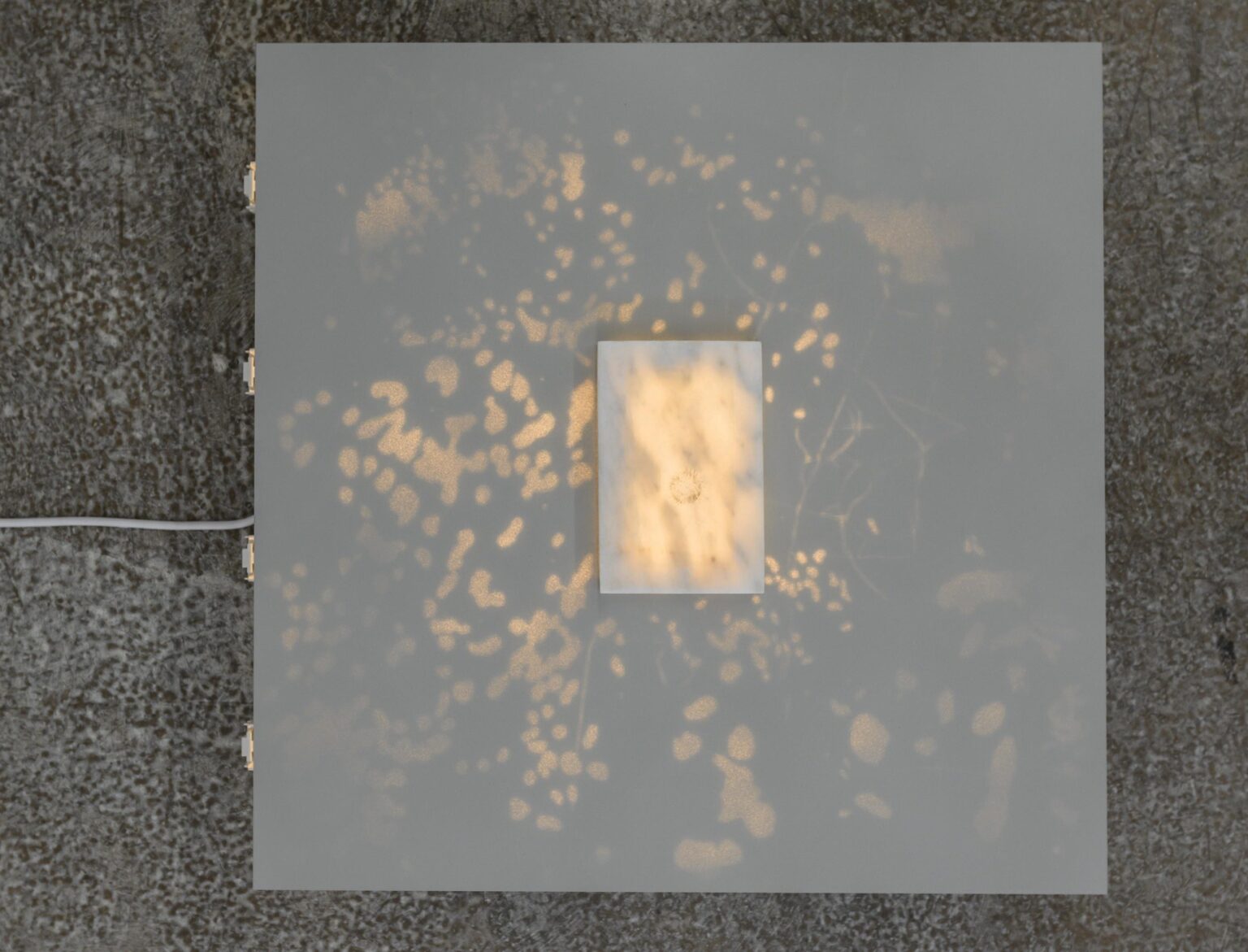 Notes on Traces (Loeren) - Janne Schipper 