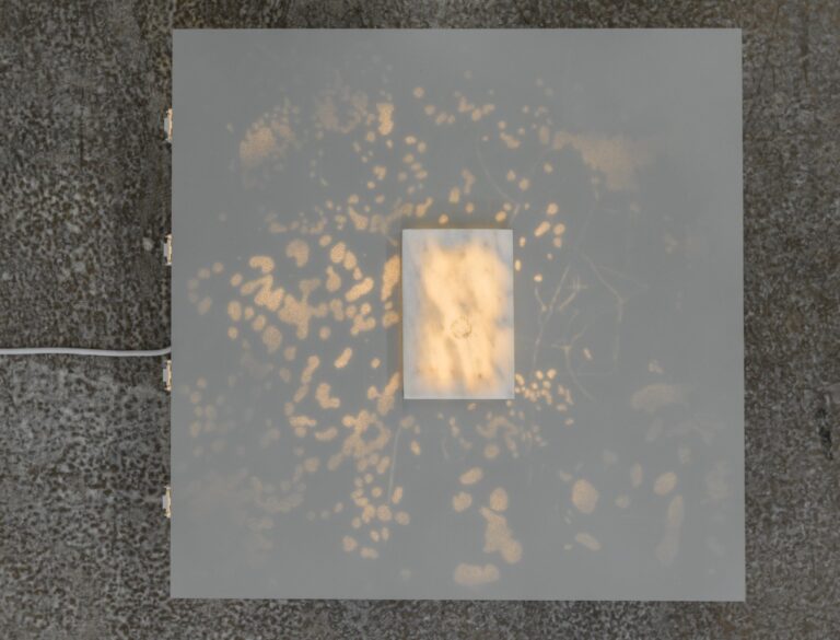 Notes on Traces (Loeren) - Janne Schipper 