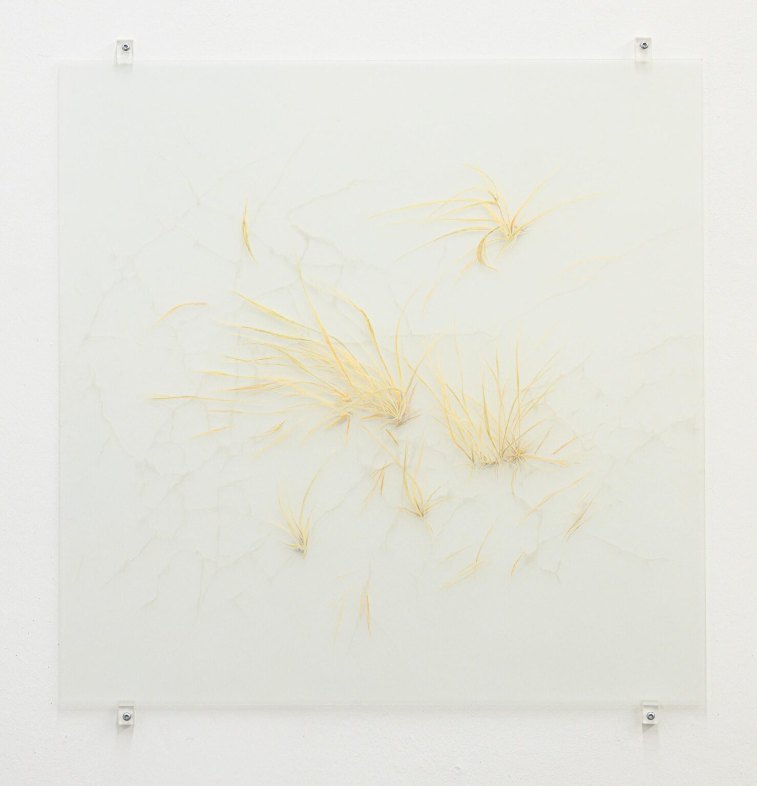 Notes on Traces - Janne Schipper 