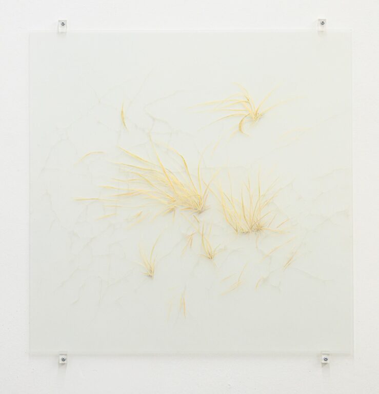 Notes on Traces - Janne Schipper 