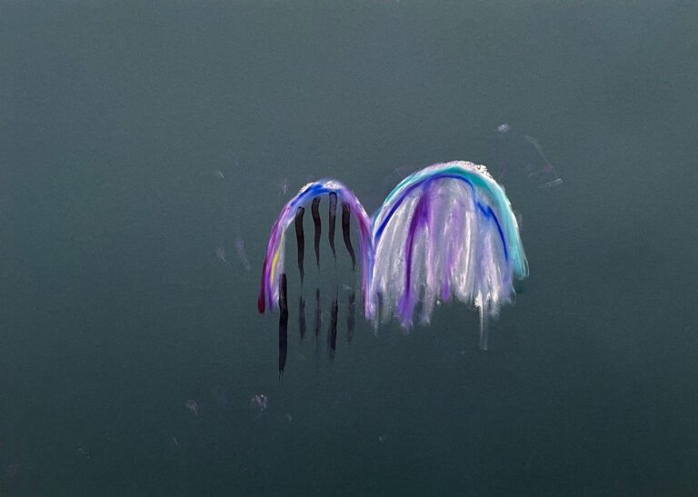 Excitement We - Raphaela Riepl 