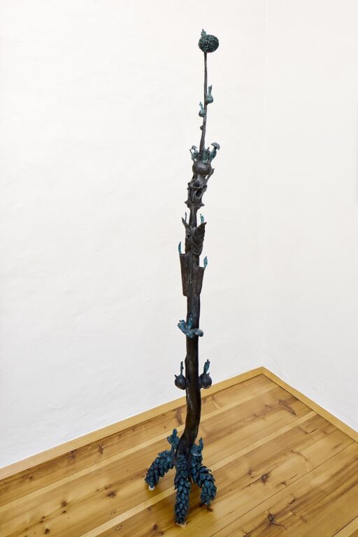 Langkalebassen Knochensteherblume - Gunter Damisch 