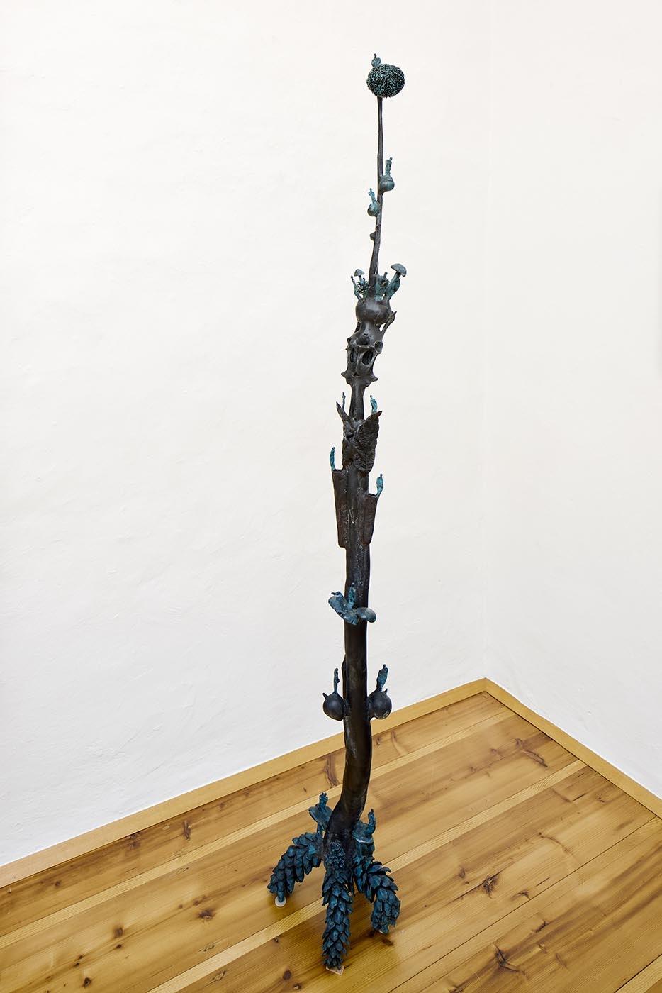 Langkalebassen Knochensteherblume - Gunter Damisch 
