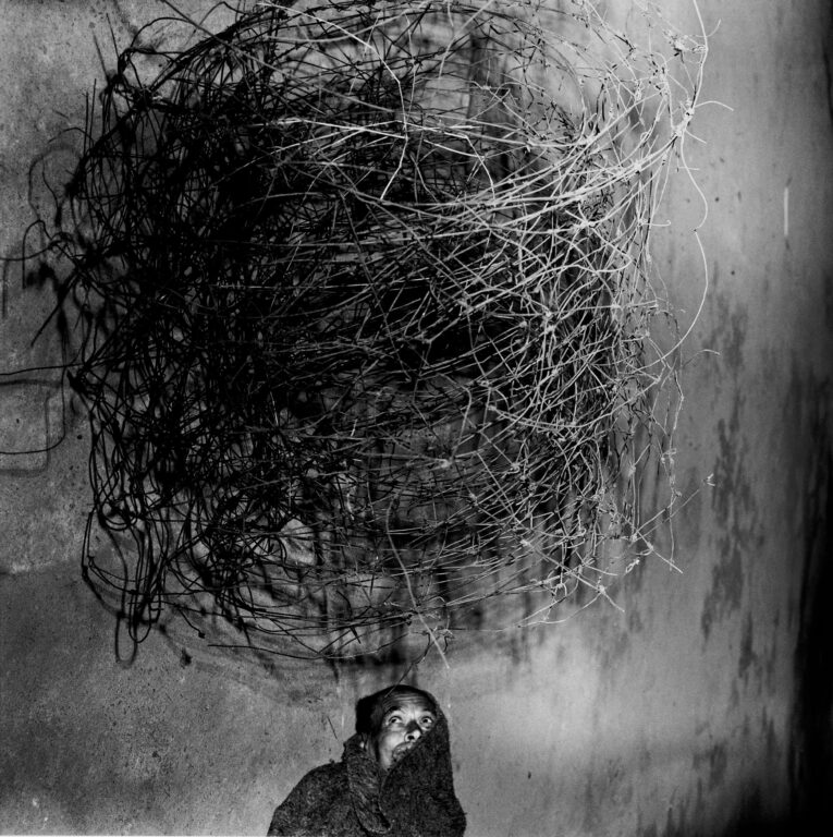 Roger Ballen, “Shadow Chambers” Galerie Nicola von Senger, Roger Ballen, Galerie Nicola von Senger, Zürich