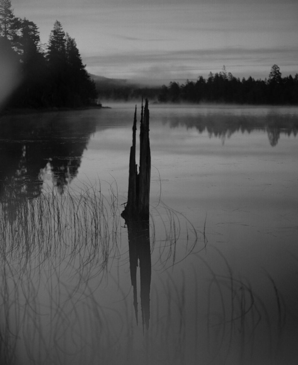 water-nicola-von-senger