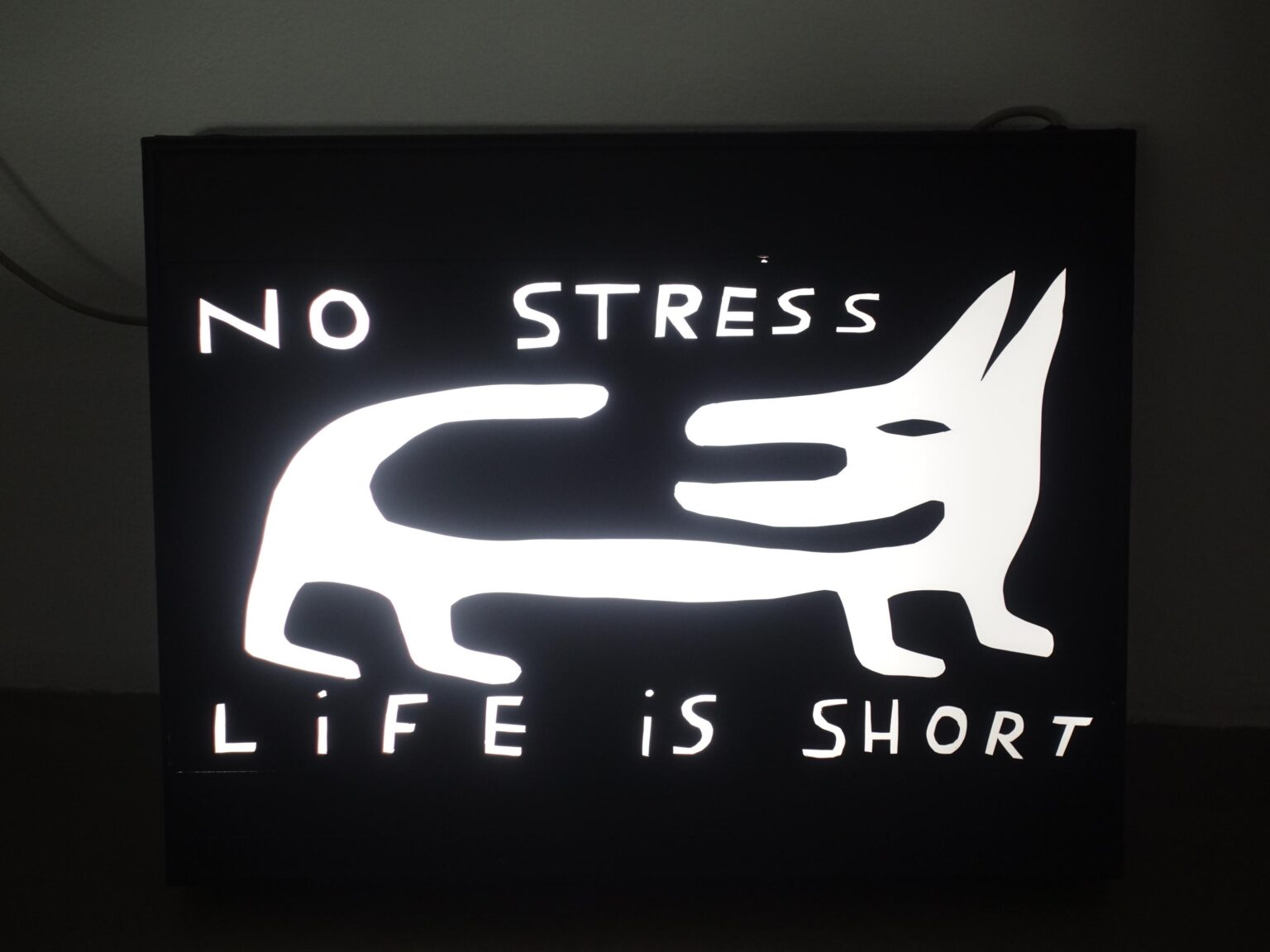 No Stress Life is Short - Augustin Rebetez 