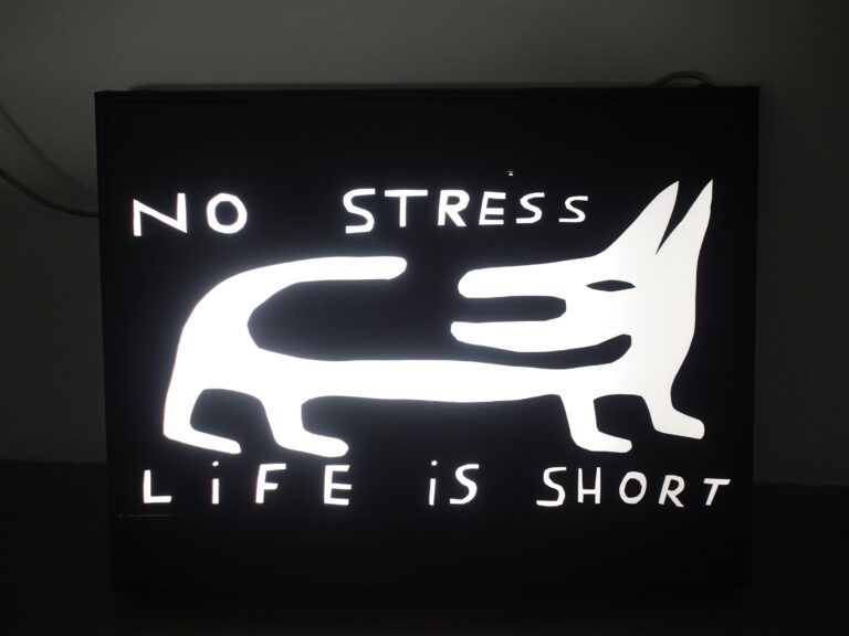 No Stress Life is Short - Augustin Rebetez 