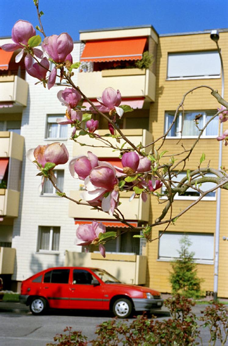 Switzerland, Olten - Martin Parr 