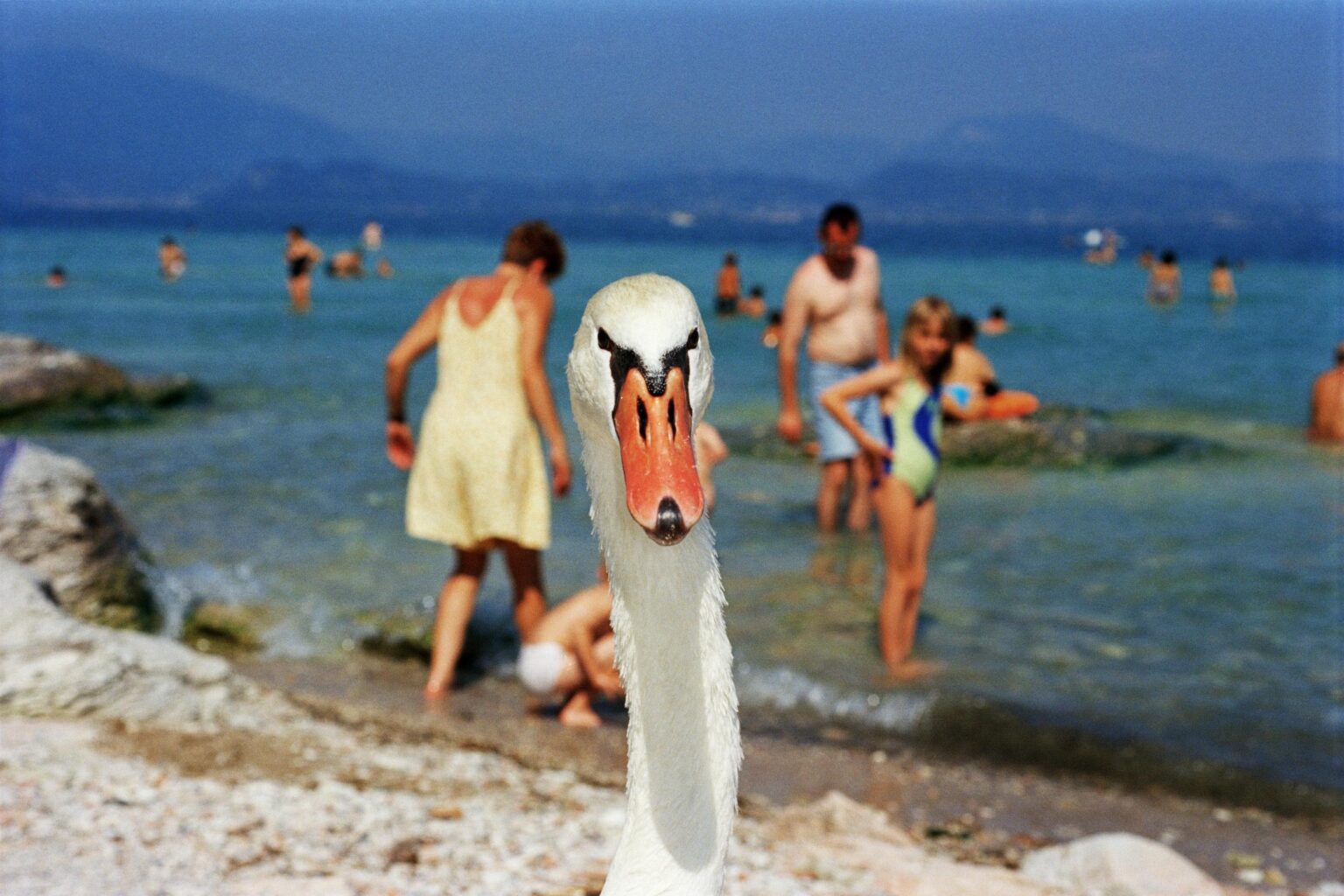 Italy. Lake Garda - Martin Parr 