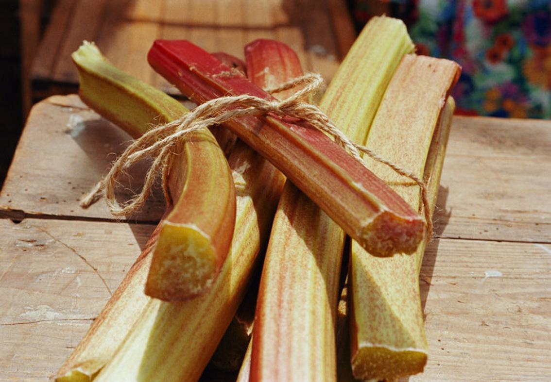 England, Dorset - Martin Parr 