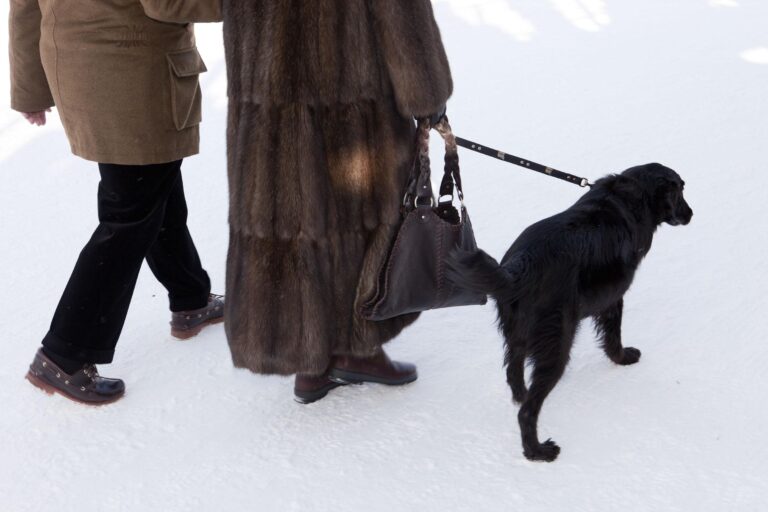 Switzerland. St.Moritz - Martin Parr 