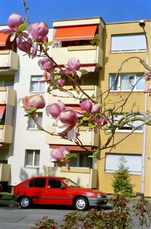 Switzerland, Olten - Martin Parr 