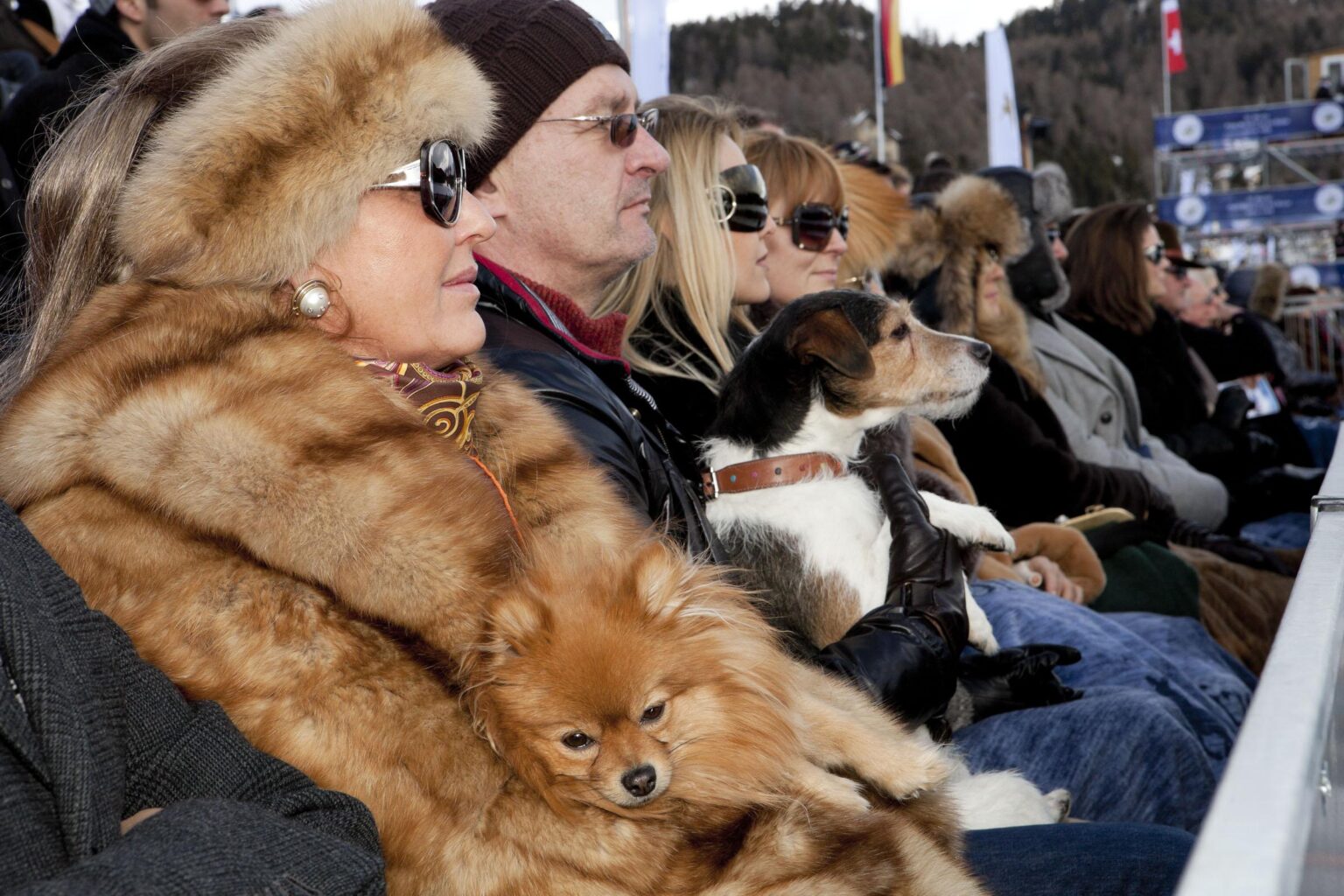 Switzerland. St.Moritz. - Martin Parr 