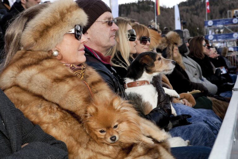 Switzerland. St.Moritz. - Martin Parr 