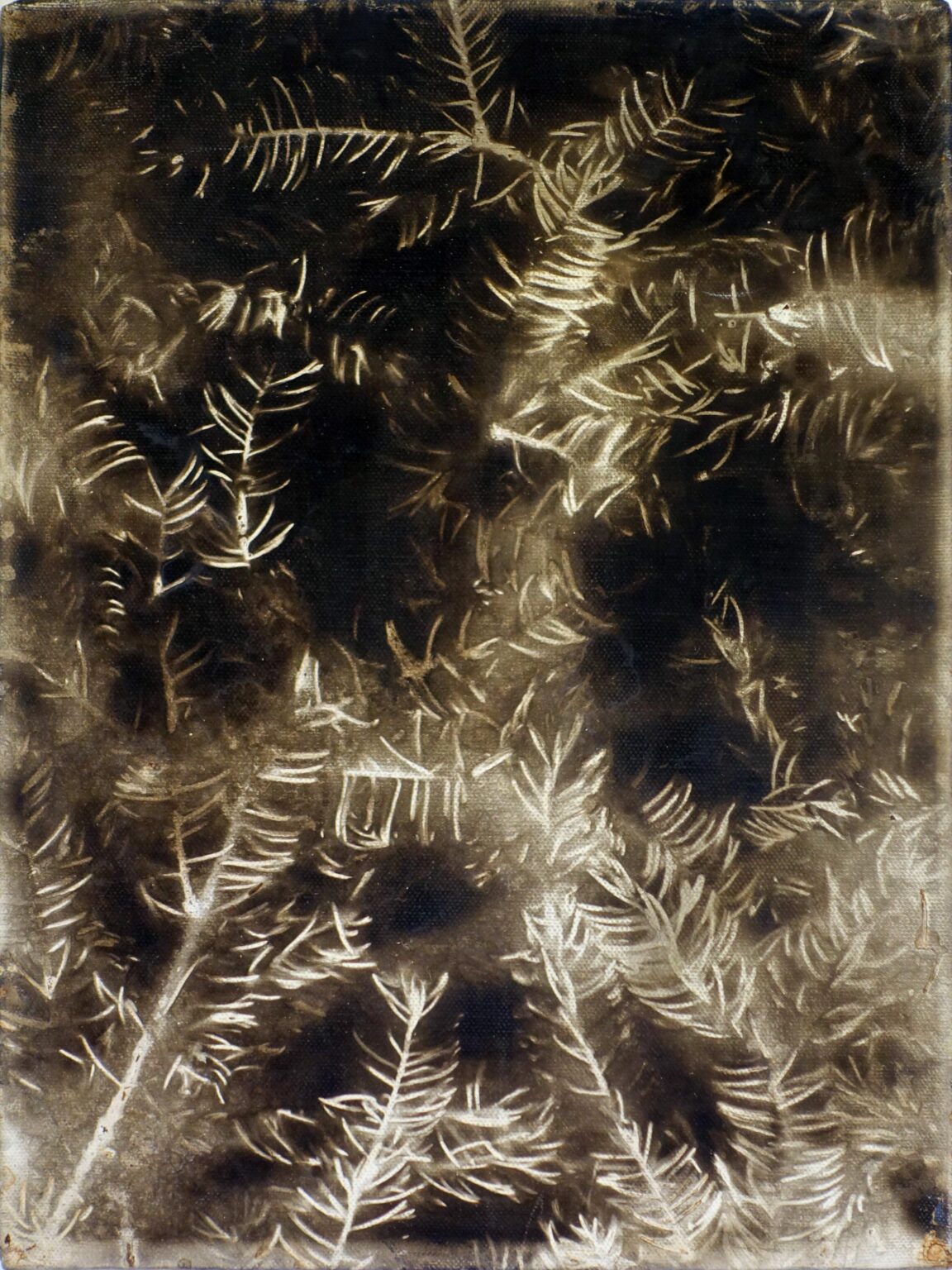 Ohne Titel - Christian Eisenberger 