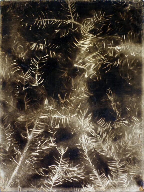 Ohne Titel - Christian Eisenberger 