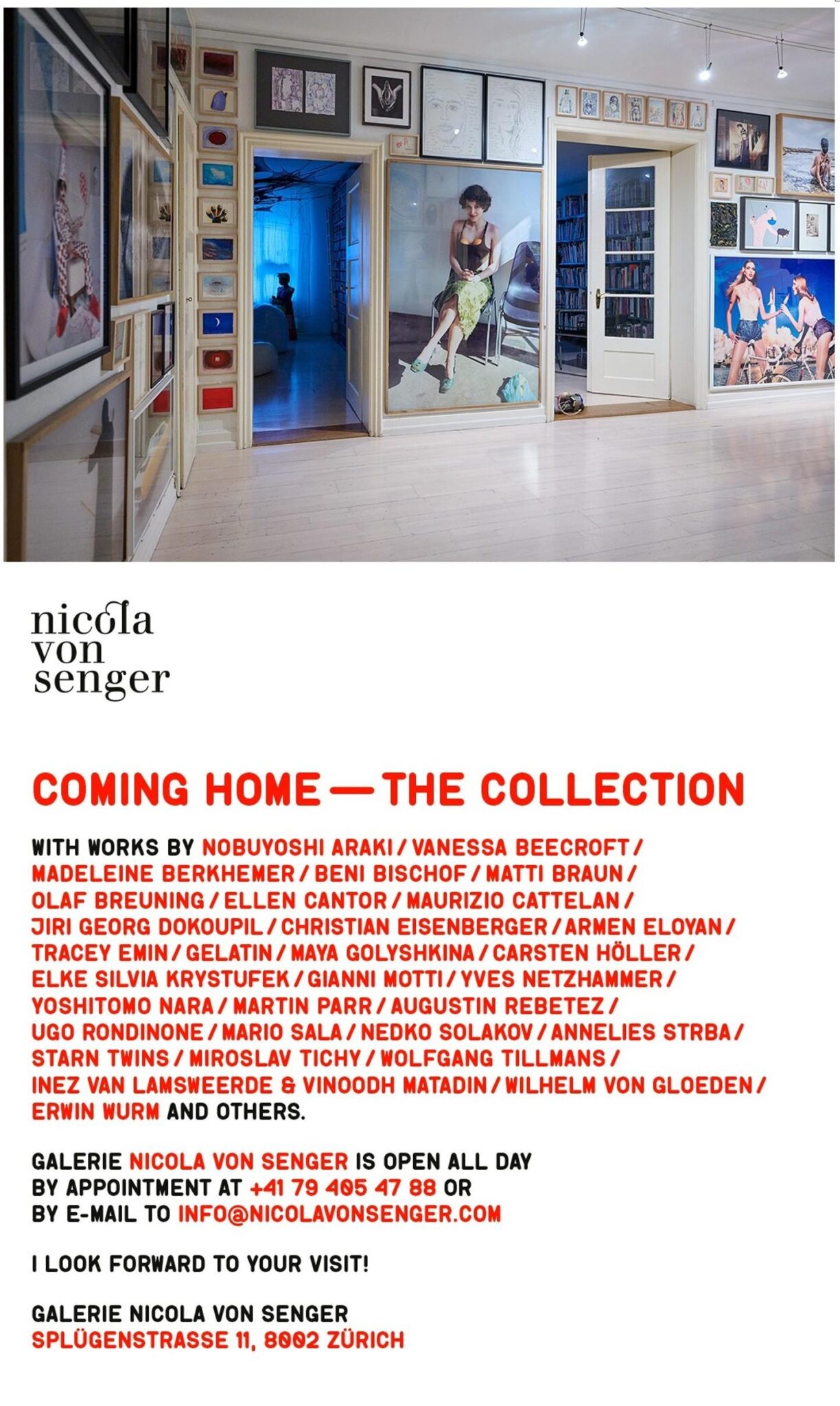 Coming Home: The Collection Christian Ammann, Christian Ammann