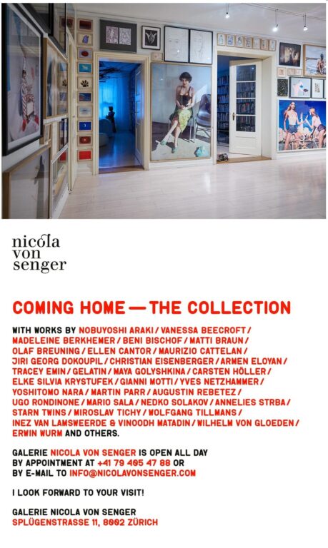 Coming Home: The Collection Christian Ammann, Christian Ammann