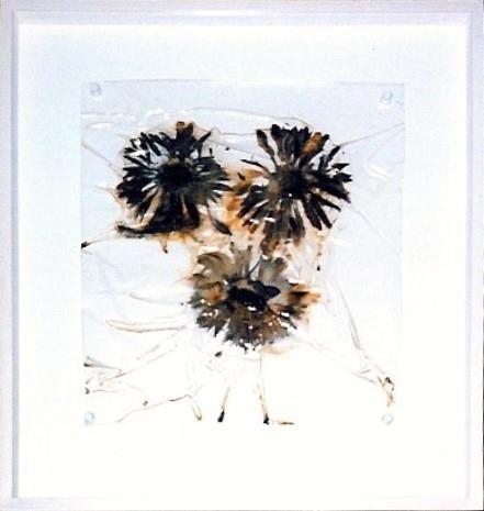 Three Gerberas - Anya Gallaccio 