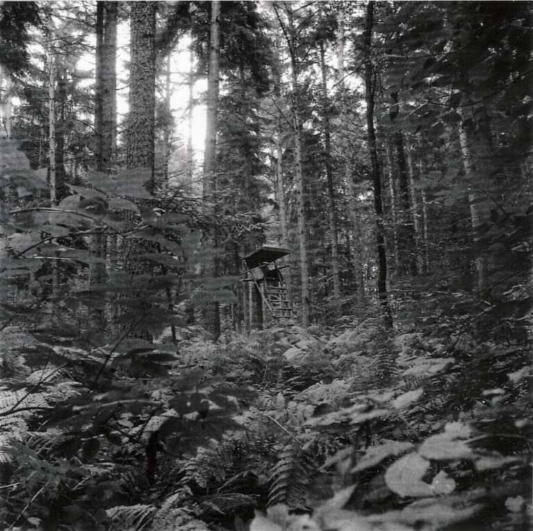 Hochsitz - Markus Hansen 