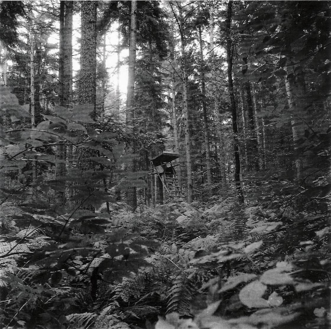 Hochsitz - Markus Hansen 