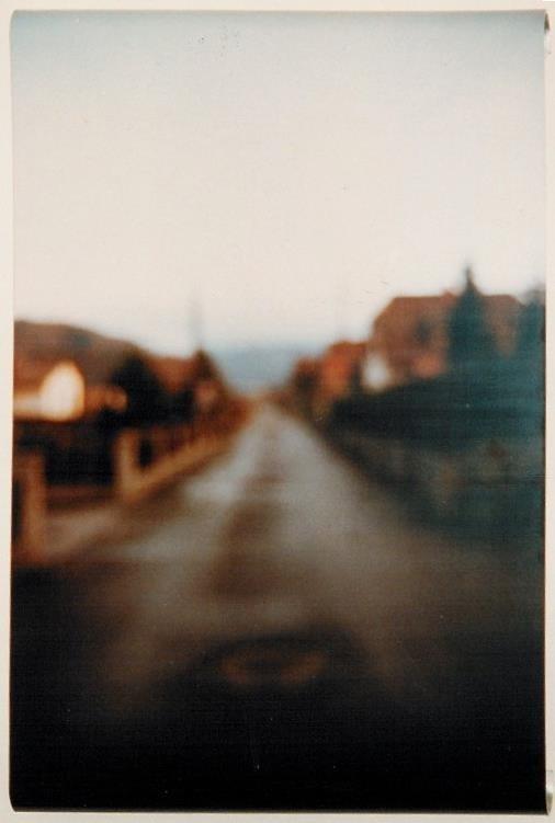 To lose sight of lam(b)ent - Manfred Erjautz 