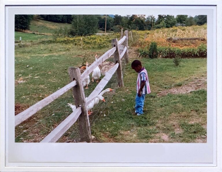 Geese – Boy - Wolfgang Tillmans 