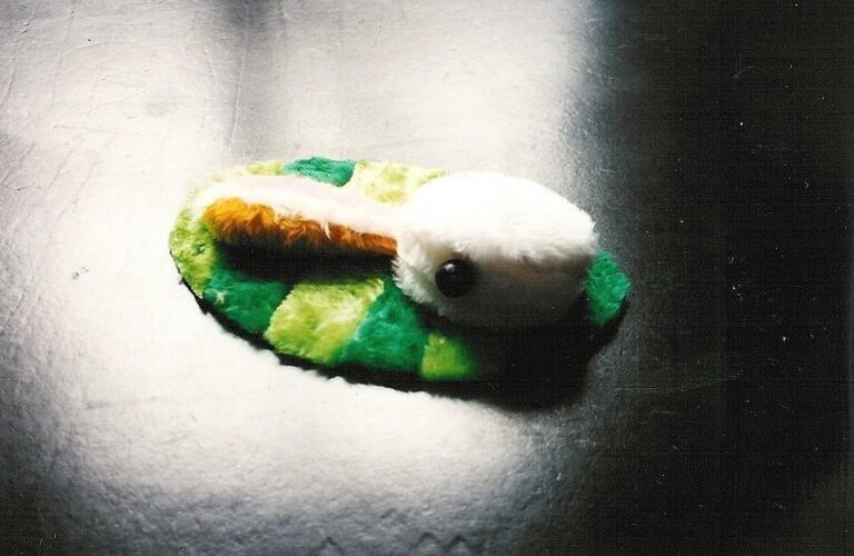 Duck/Rabbit Problem - Temin Kathy 