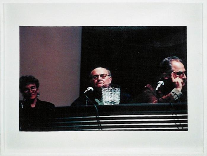 S/L : Lucy Lippard, Luis Camnitzer, Chrissie Iles, Sol LeWitt, Francis Nauman, Peter Wollen, Global Conceptualism: - Rainer Ganahl 