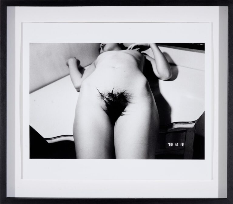 Untitled - Nobuyoshi Araki 