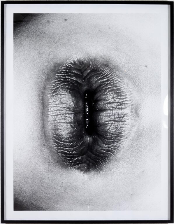 Erotos - Nobuyoshi Araki 