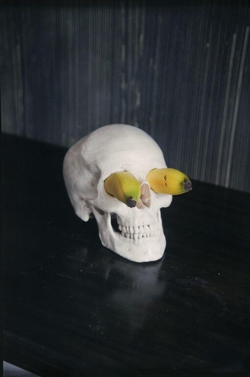 Hamlet, Totenkopf I - Erwin Wurm 
