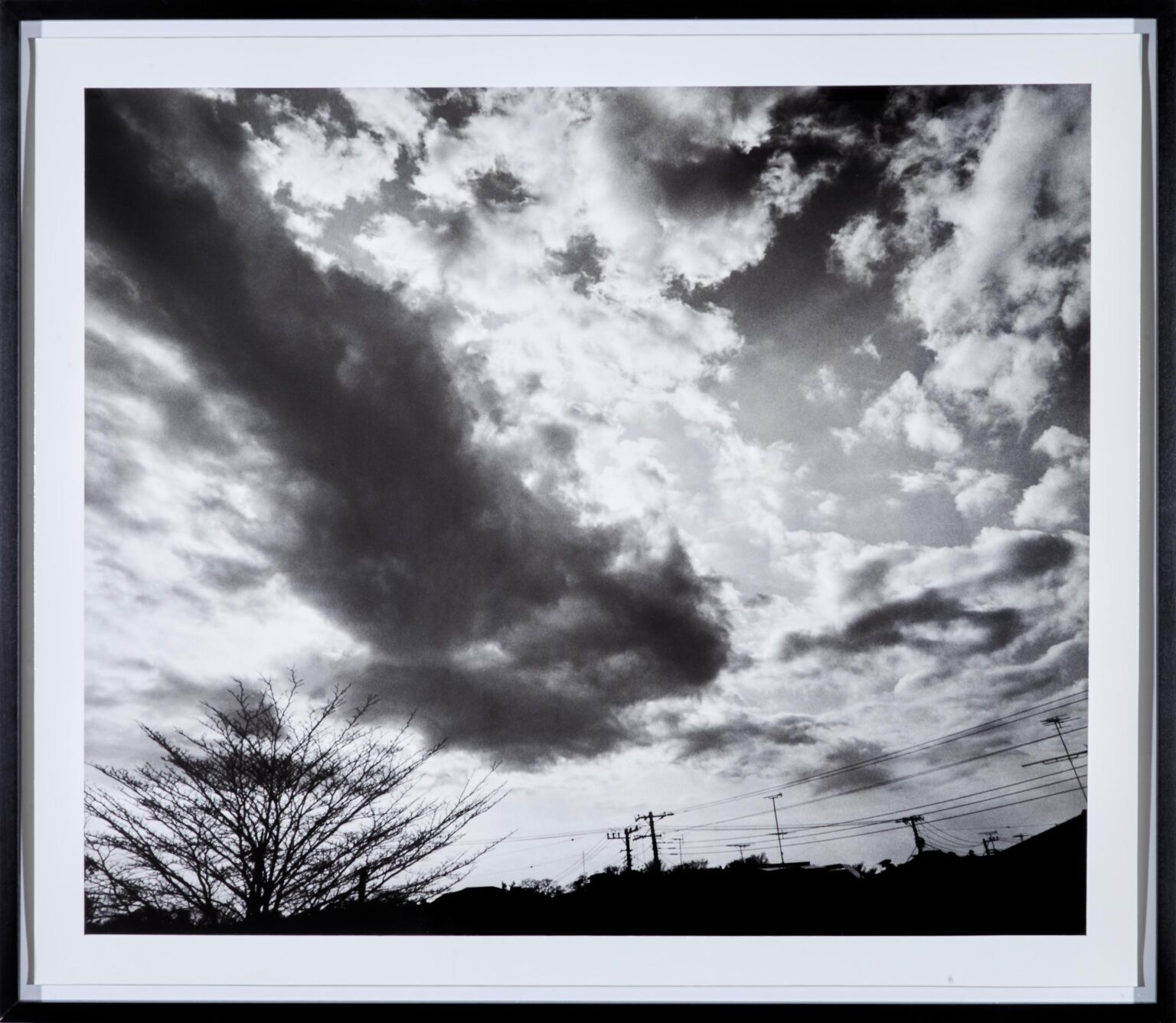 Untitled - Nobuyoshi Araki 