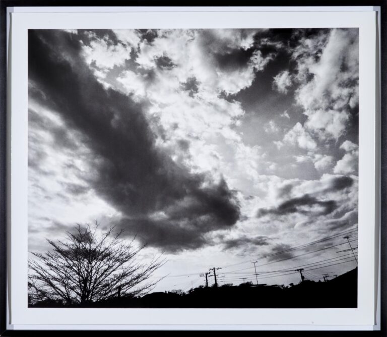 Untitled - Nobuyoshi Araki 