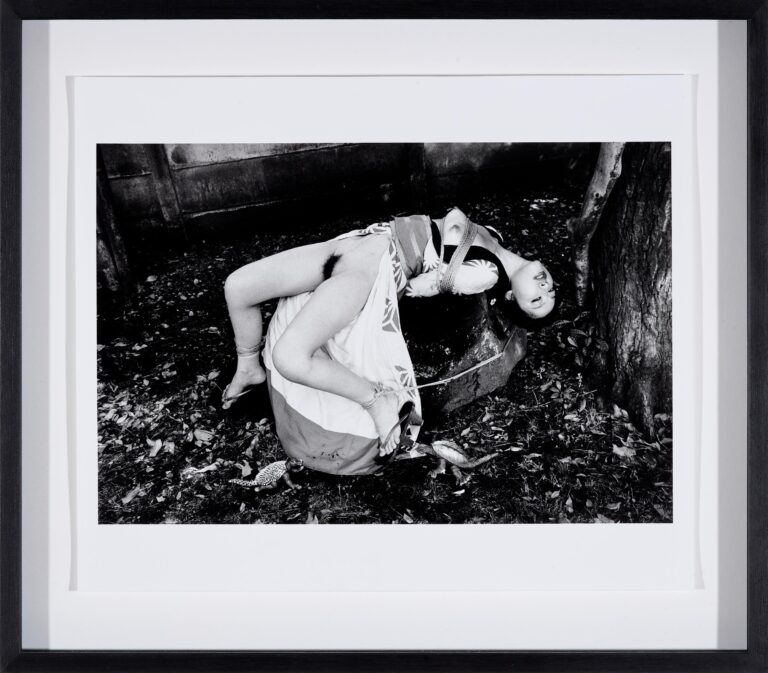 Untitled - Nobuyoshi Araki 