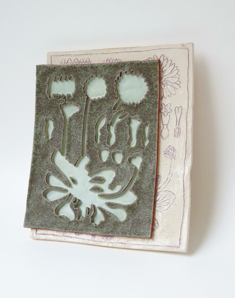 Bellis Perennis - Judith Kaminski 