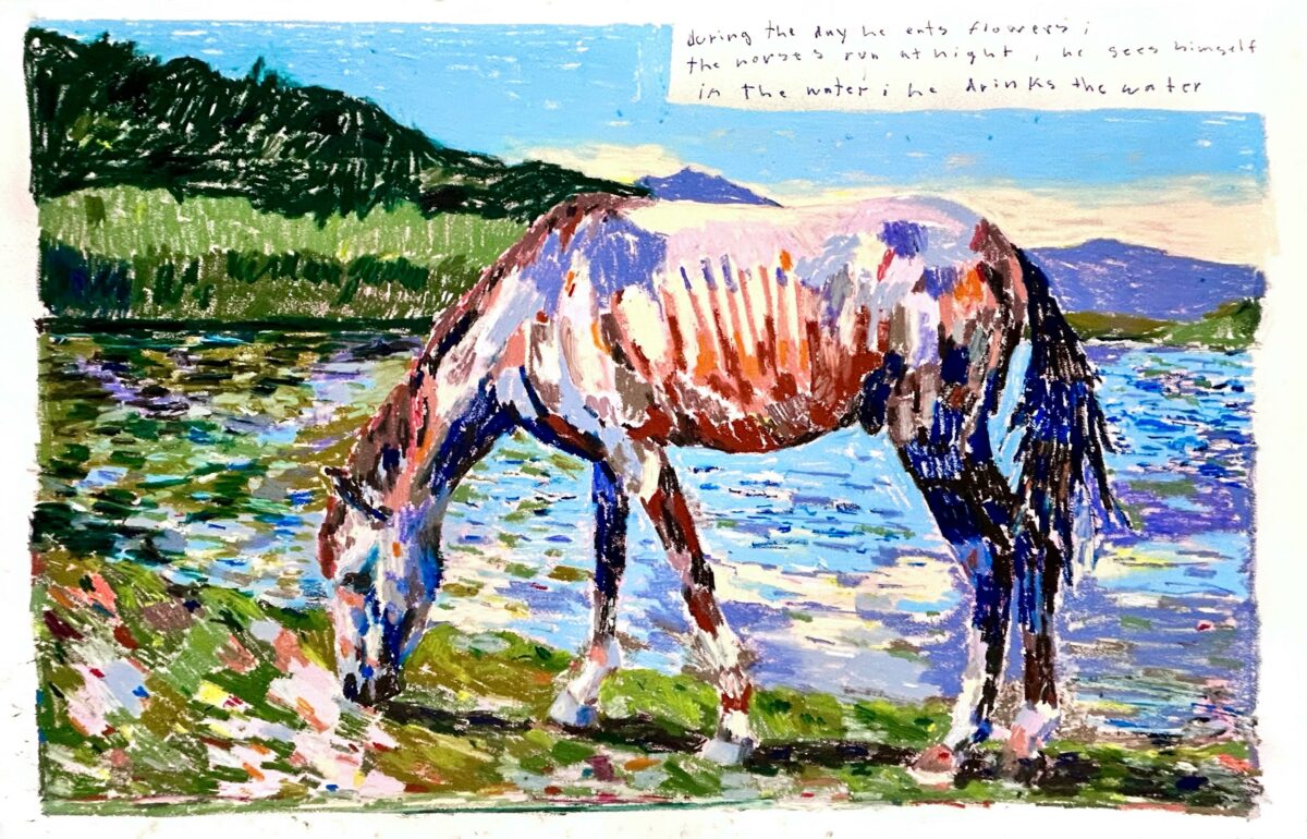 horses run at night - Laurentius Sauer 