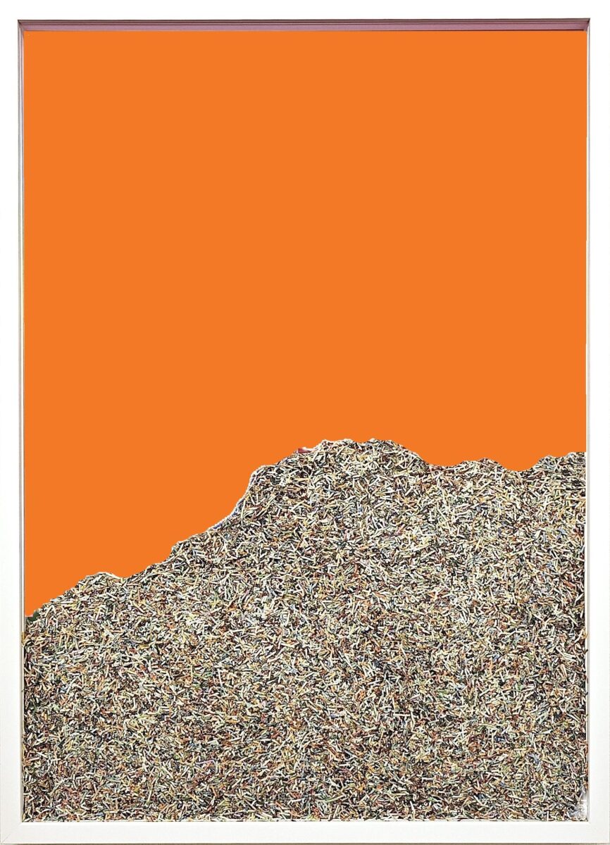 Shredded Monument No. 5 - Janine Mackenroth 