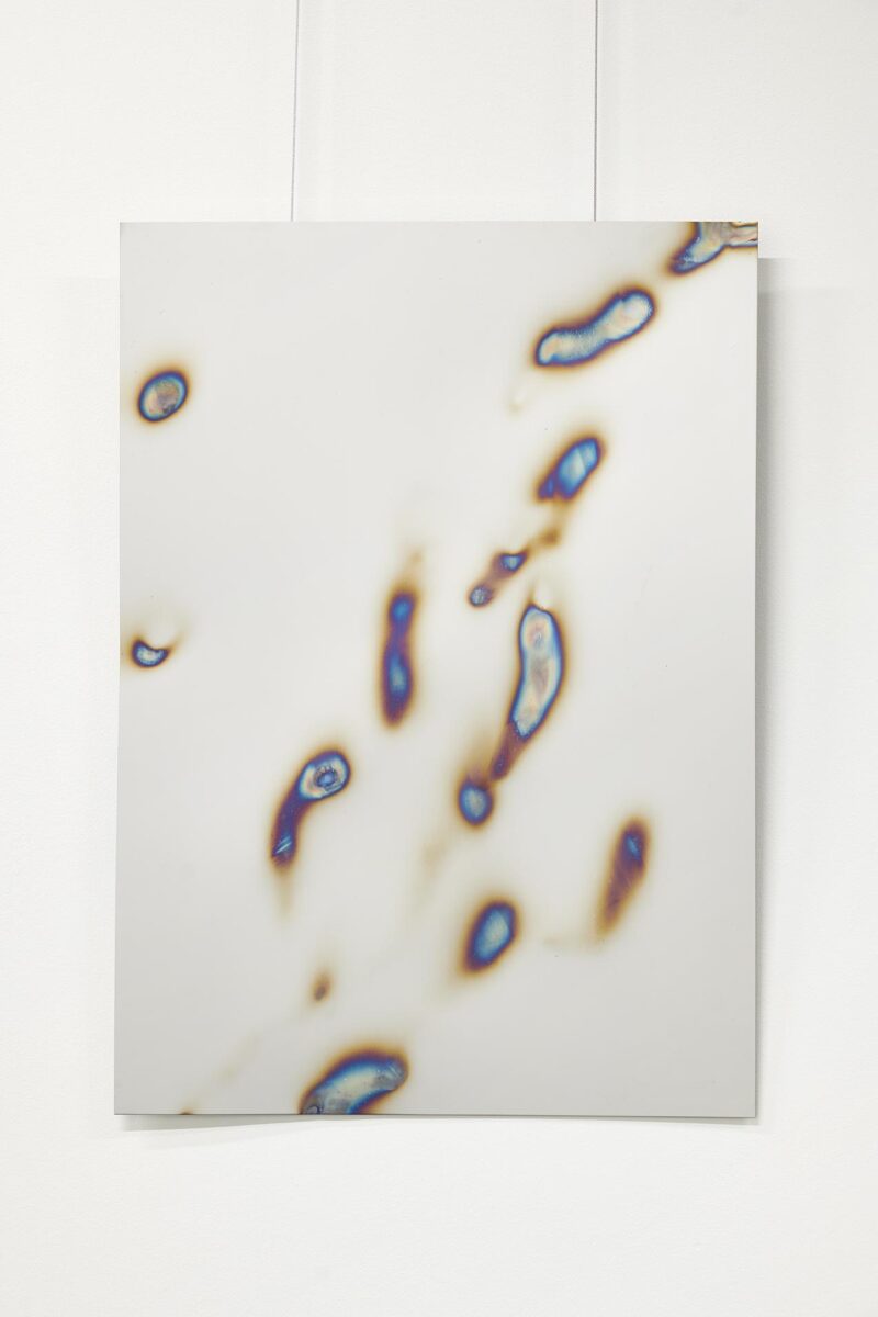 burn out, No. 1 - Janine Mackenroth 