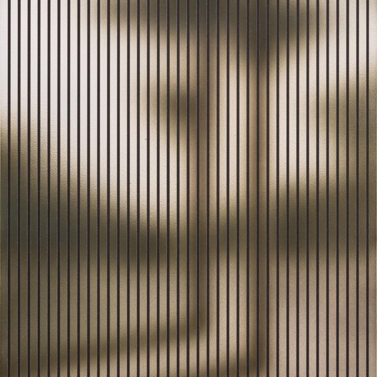 Borkenkäfer - Mara Niederprüm 