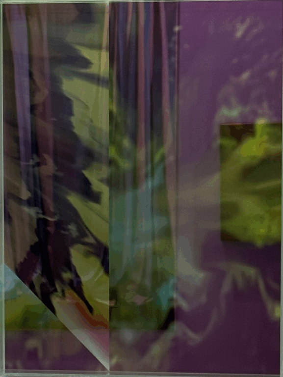 Ohne Titel - Luisa Baldhuber 