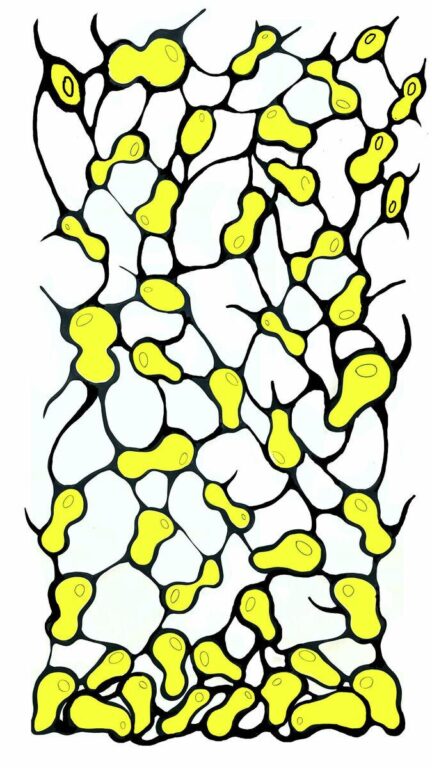 Synapsis (Fertility Rug) - unknown 